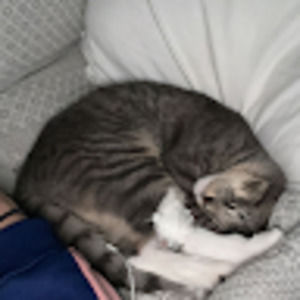 Meet your Posher, Cynthia